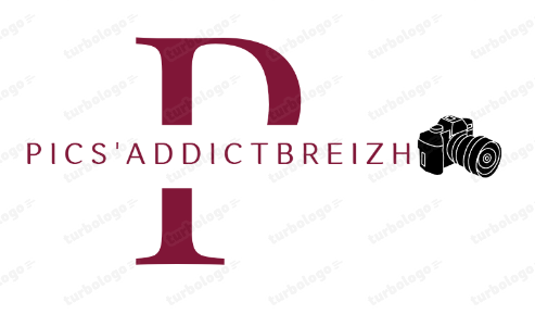 picsaddictbreizh.fr